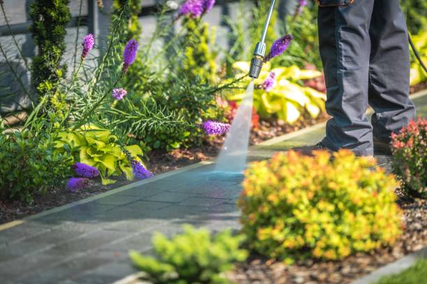 Best Boat and Dock Cleaning  in Galt, CA